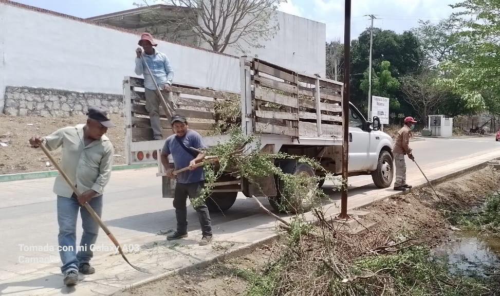 Seguimos trabajando con el desazolve, desmonte y recolección de basura de calles y alcantarillas