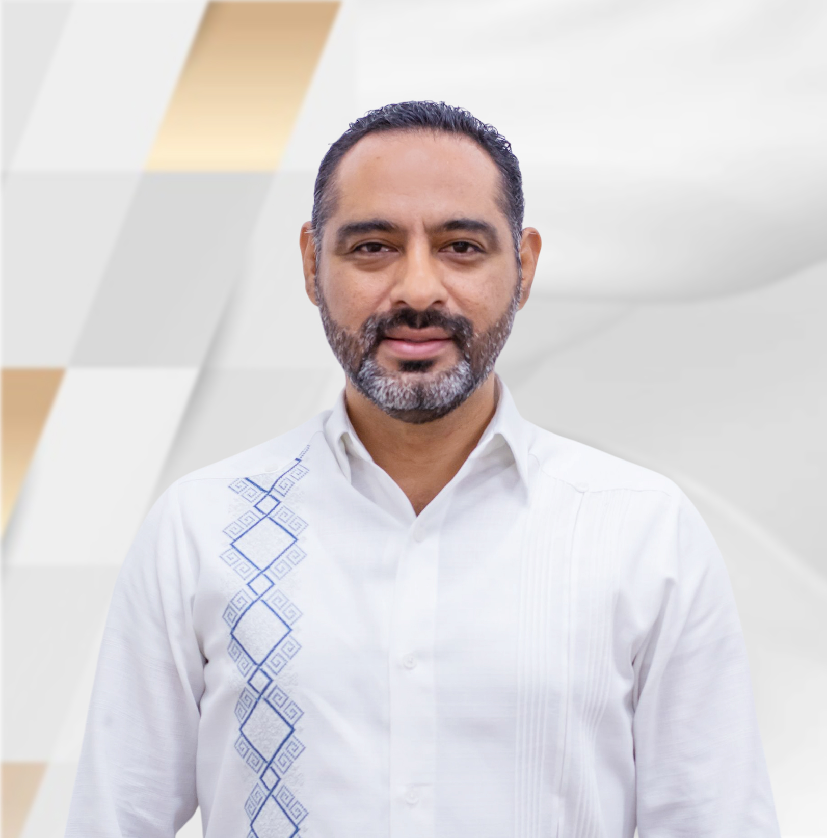 Ing. Luis Fernando Chandomi Cruz