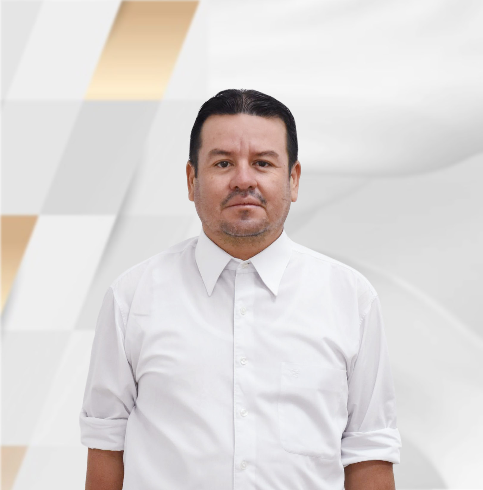 Ing. Miguel A. Martínez Arellano