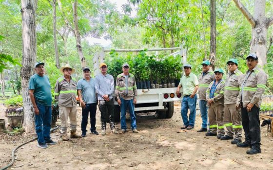 Donación de 2,100 plantas maderables y ornamentales al municipio de Arriaga Chiapas
