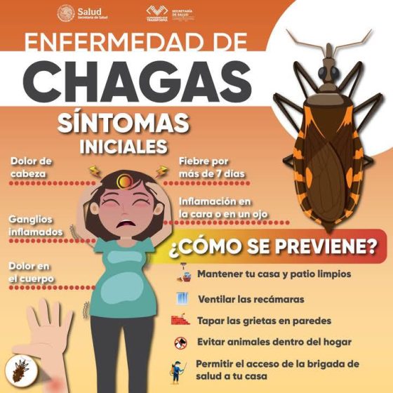 La enfermedad de Chagas es una enfermedad grave que puede prevenirse