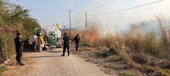 PROTECCIÓN CIVIL SOFOCA INCENDIO DE PASTIZAL EN INMEDIACIONES DEL AMATE