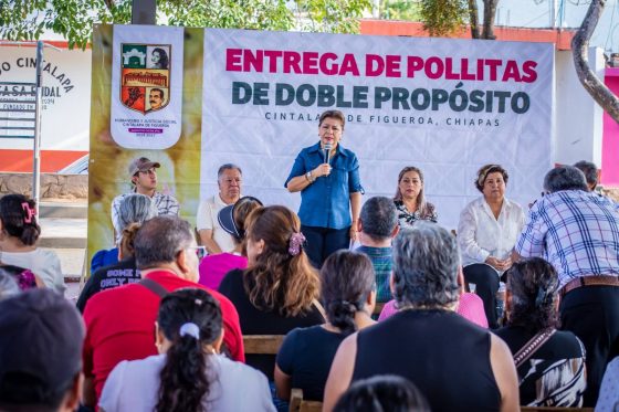 AYUNTAMIENTO DE CINTALAPA ENTREGA POLLITAS DOBLE PROPÓSITO EN APOYO A LA ECONOMÍA FAMILIAR