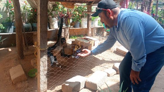 DIRECCIÓN DE MEDIO AMBIENTE MUNICIPAL DE CINTALAPA ENTREGA UN MONO AL ZOOMAT