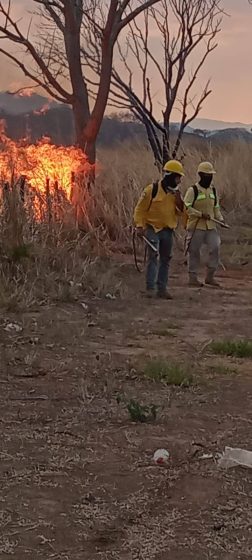 ATIENDE PROTECCIÓN CIVIL DE CINTALAPA INCENDIOS EN DERECHO DE VÍA