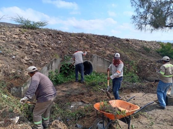 SERVICIOS PÚBLICOS MUNICIPALES DE CINTALAPA REALIZA LIMPIEZA DE DRENES PLUVIALES